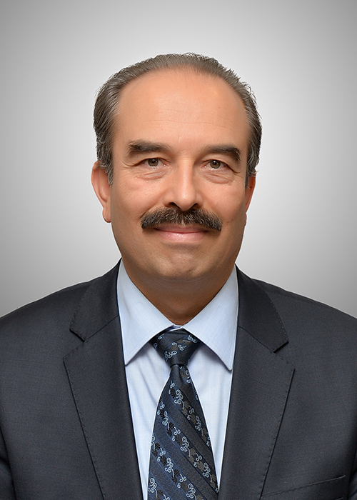 HAMDİ TEKELİ - Dr. Din İşleri Yüksek Kurulu Uzmanı