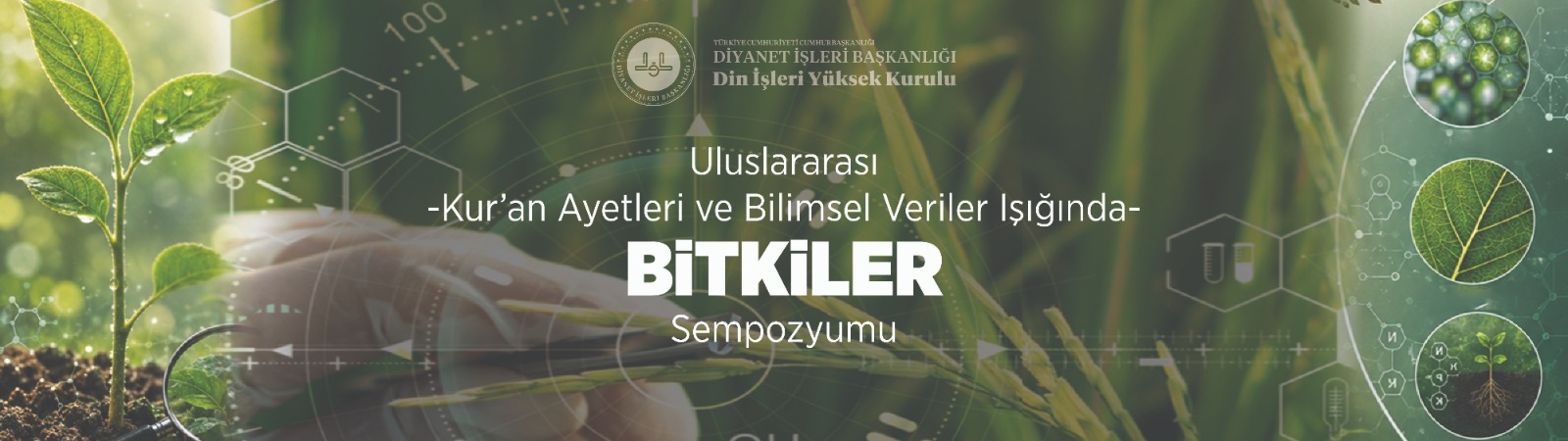 Kur’an Ayetleri ve Bilimsel Veriler Işığında Bitkiler